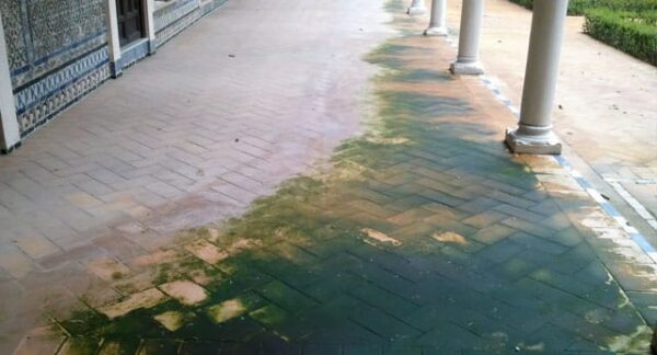 Limpiador de pavimentos exteriores